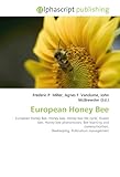 European Honey Bee-