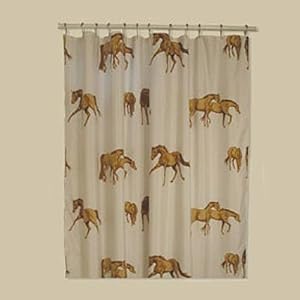 Horse On The Border Shower Curtain