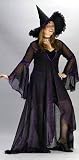 Adult Witch Costume - Shimmering Rose-One size fits (16-24)