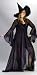 Adult Witch Costume - Shimmering Rose-One size fits (16-24)