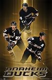 Anaheim Ducks (Teemu Selanne, Chris Pronger, Scott Niedermayer) Framed Sports Poster Print - 24
