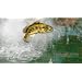 Rapala Pro Bass Fishing 2010