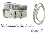 Hundehalsband Hundeleine