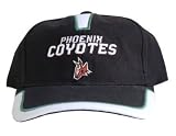 NHL Phoenix Coyotes Hockey Hat