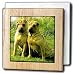 Dogs Chinese SharPei - Chinese SharPei - Tile Napkin Holders