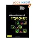 Biology and Pathology of Trophoblast