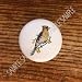 Birds Cardinal #2 Bird Drawer Pulls Knobs