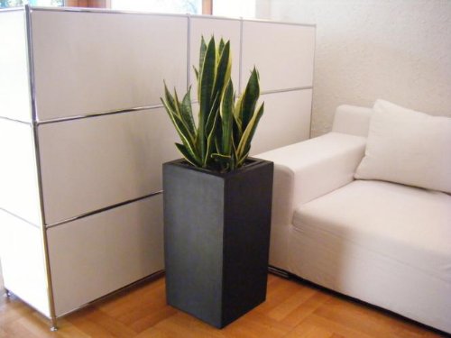 Blumenkübel Pflanzkübel Übertöpfe