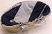 Baby : Baby Sports Moses Basket