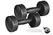 York Barbell 10 lb Legacy Solid Professional Round Dumbbells