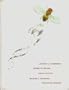 Introduction to Genetic Analysis