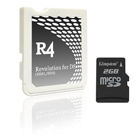 Nintendo DS/DS Lite R Adapter with a 2GB Memory card 