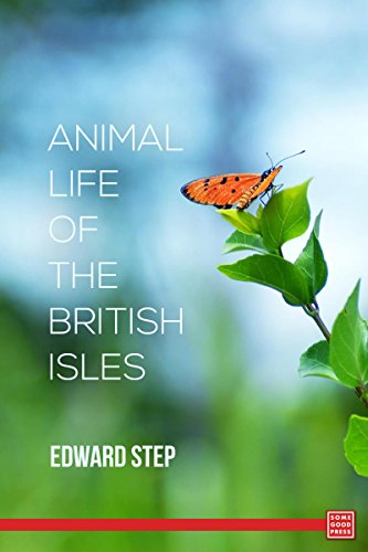 Animal Life Of The British Isles