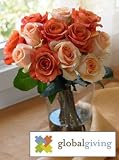 GlobalGiving Assorted Roses - B001180NEI
