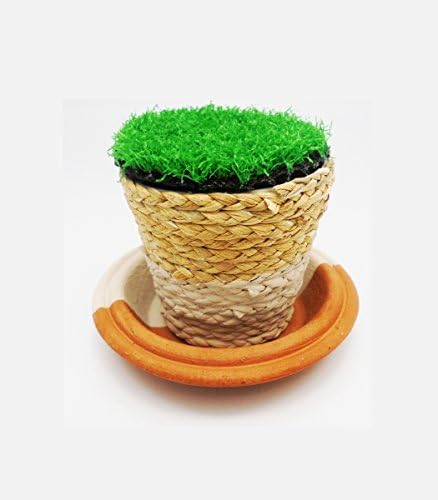 [Hand Crafted] Mini Vintage Planters Flower Plant pots with Draining Earthenware Tray indoor decorative - set of 3