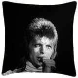 We Love Cushions David Bowie Ziggy Stardust Cushions
