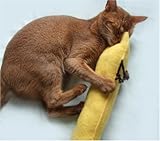 ねこキック! 大