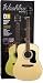 Musical Instruments : Washburn D8T Pack - Acoustic Guitar Package
