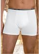 Mens 2 Pair Champion Double Dry Active Fit Trunks - U478