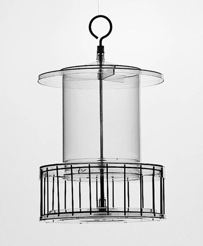 Songbird Essentials SEAWFFF740 Weather Cage Bird