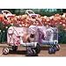 5th Avenue Pet Stroller - Luxury Edition - Pink (Pink) (26H x 14W x 17D)