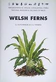 Welsh ferns : clubmosses, quillworts and horsetails : a descriptive handbook