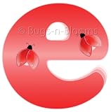 “e” Red Ladybug Alphabet Letter Name Wall Sticker – baby nursery girls room decor baby nursery girls room decor decoration decorations mural stickers bedroom