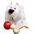 Baxter the Amazing Remote Control Dog