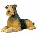 Mid Size - Airedale Terrier