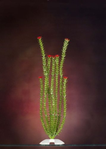 JW Pet Company Anacharis 15 in XLarge Aquarium Plant