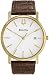 Gold Tone Leather Strap