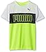 PUMA Big Boys' Short Sleeve Colorblock Tee