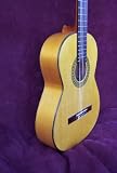 Francisco Navarro Flamenco Guitar