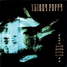 Vivisect Vi