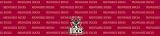Milwaukee Bucks Team Auto Visor Decal