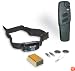 PetSafe Deluxe Little-Dog Remote Trainer for Pets Under 40 Pounds, PDLDT-305