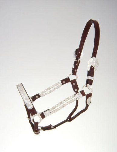 Silver Ferruled Show Halter Horse