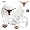 Texas Longhorns