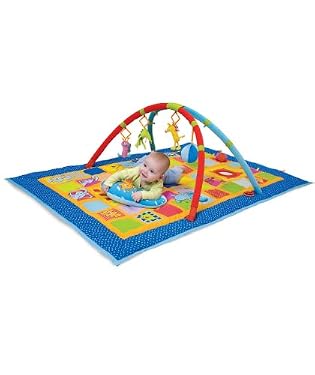 3 in 1 Curiosity Gym