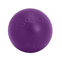 Jolly Pet 3 Push-n-Play Purple