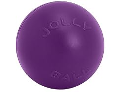 Jolly Pet 14-Inch Push-n-Play, Purple