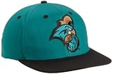 NCAA Coastal Carolina Chanticleers Primary Logo College Snap Back Team Hat