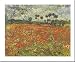 Field of Poppies, Auvers-Sur-Oise by Vincent Van Gogh Fine Art Print / Poster 31.00 x 24.00 in.