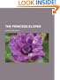 The Princess Elopes