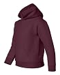 Heavy Blend Youth Hooded Sweatshirt