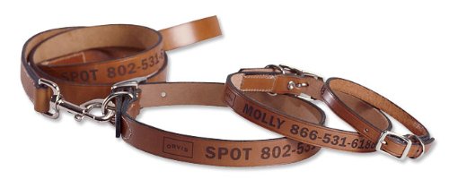 Personalized Leather Collar and Lead / 24