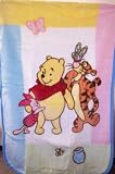 Disney Winnie the Pooh's Pals Luxury Plush Baby Blanket