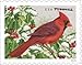 Songbirds in Snow Forever First Class Postage Stamps (20 Stamps) - United States Postal Service