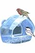 Perky Acrylic Window Feeder