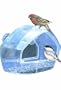 Perky-Pet 348 Window Wild Bird Feeder